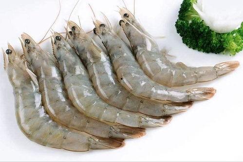 厄瓜多尔大虾爆料视频播放,揭秘养殖过程与市场真相  第3张